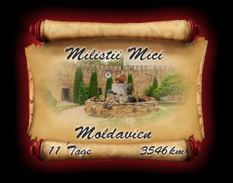 Melistii Mici